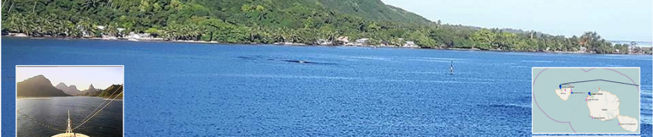 La Gazette du Croisièriste Le Costa Luminosa jette l’ancre à Moorea et les premiers passagers embarquent dans les Chaloupes